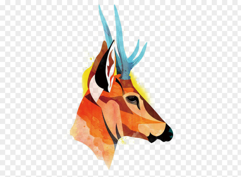 Collage Giraffe Fauna De Chile South American Gray Fox Andean Deer PNG