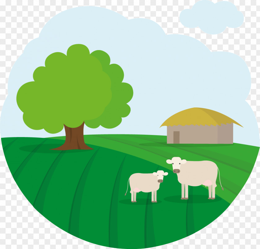 Healthy Indian Lunch For Toddlers Clip Art Sheep Image Cattle Illustration PNG