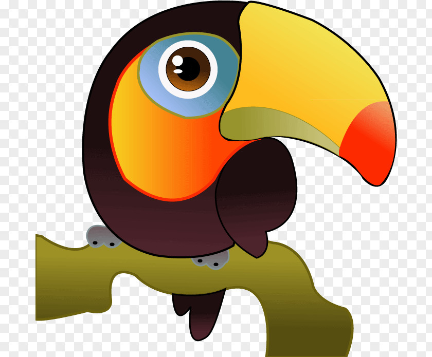 Hornbill Cartoon Bird PNG