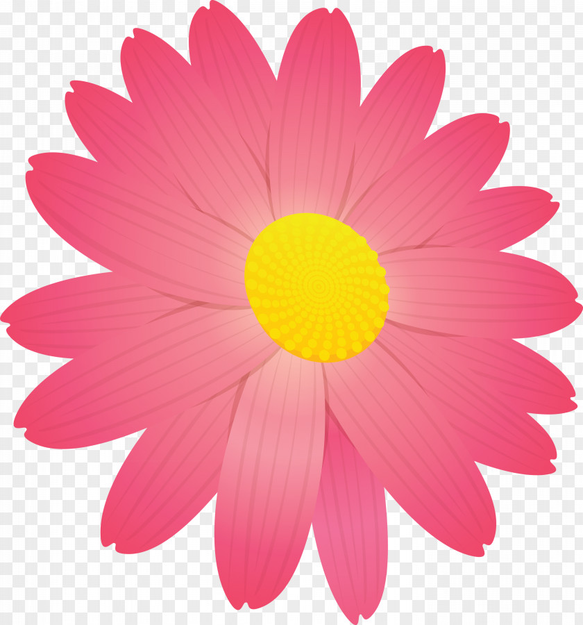 Marguerite Flower Spring PNG