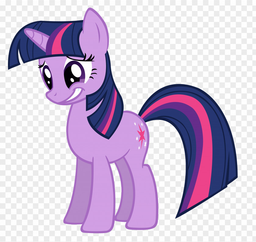 Sparkles Twilight Sparkle Pony Pinkie Pie Rainbow Dash Rarity PNG