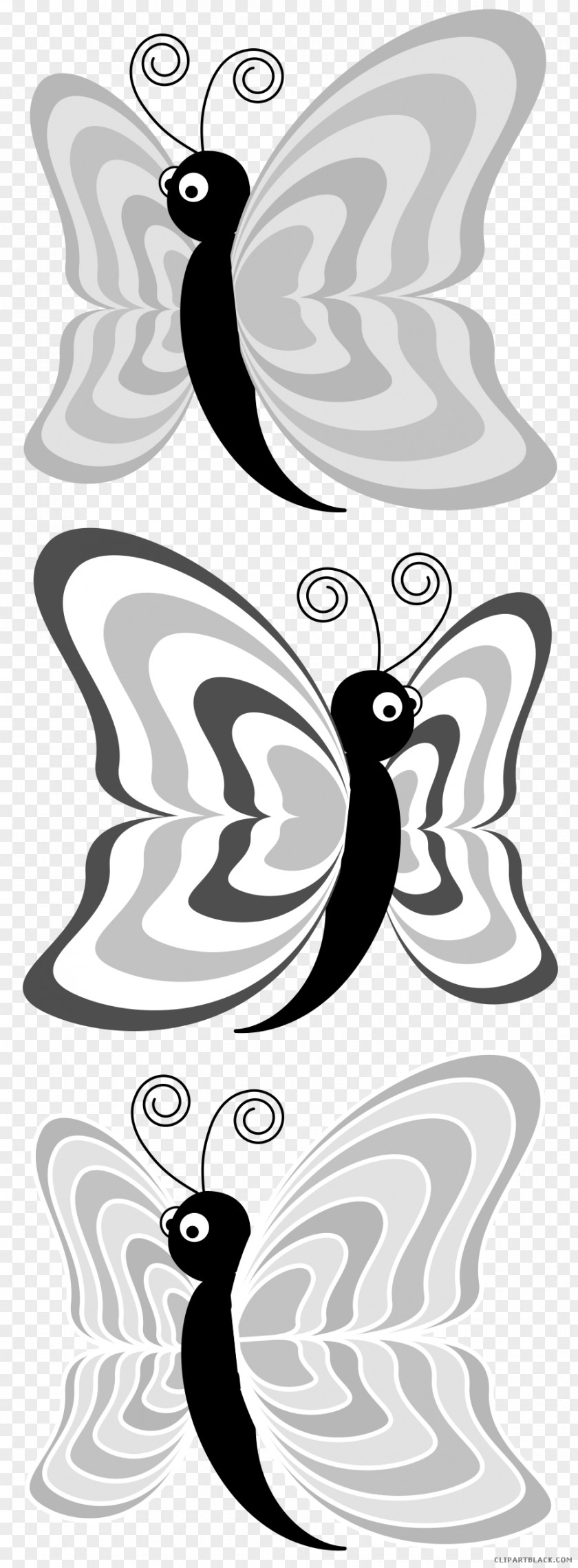 Butterfly Vector Graphics Image Cartoon PNG