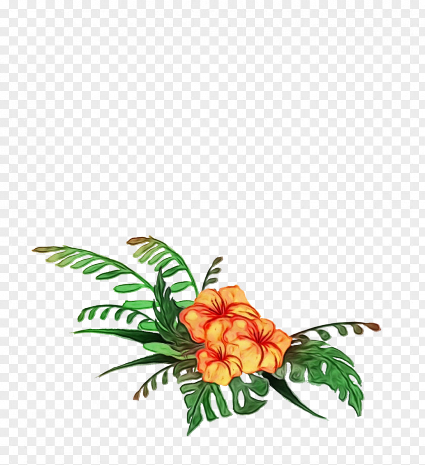 Anthurium Floral Design PNG
