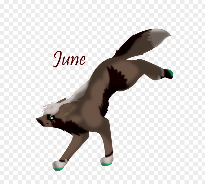 Cat Dog Canidae Tail Mammal PNG