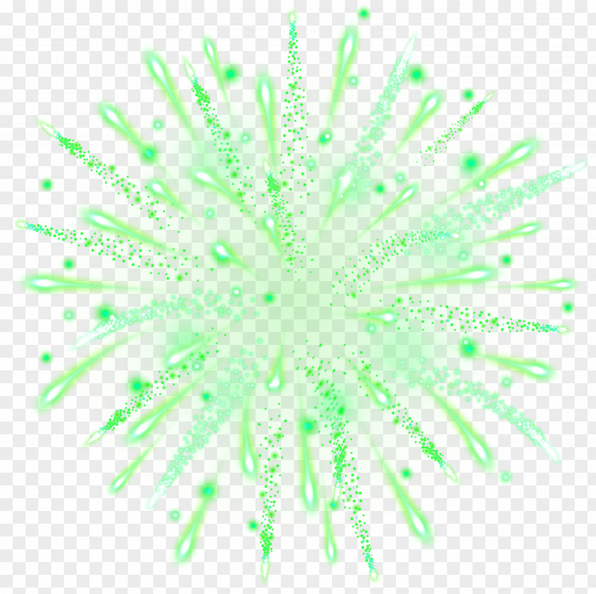 Green Firework Transparent Clip Art Image Organism Pattern PNG