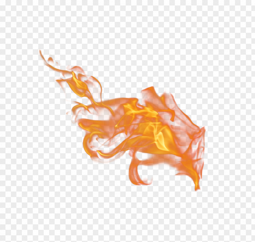 Flame Cool Fire Euclidean Vector PNG