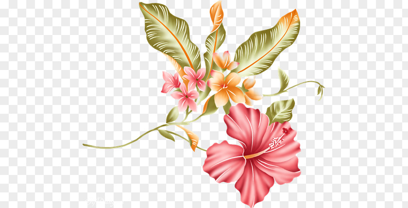 Flower Floral Design Painting Gouache PNG