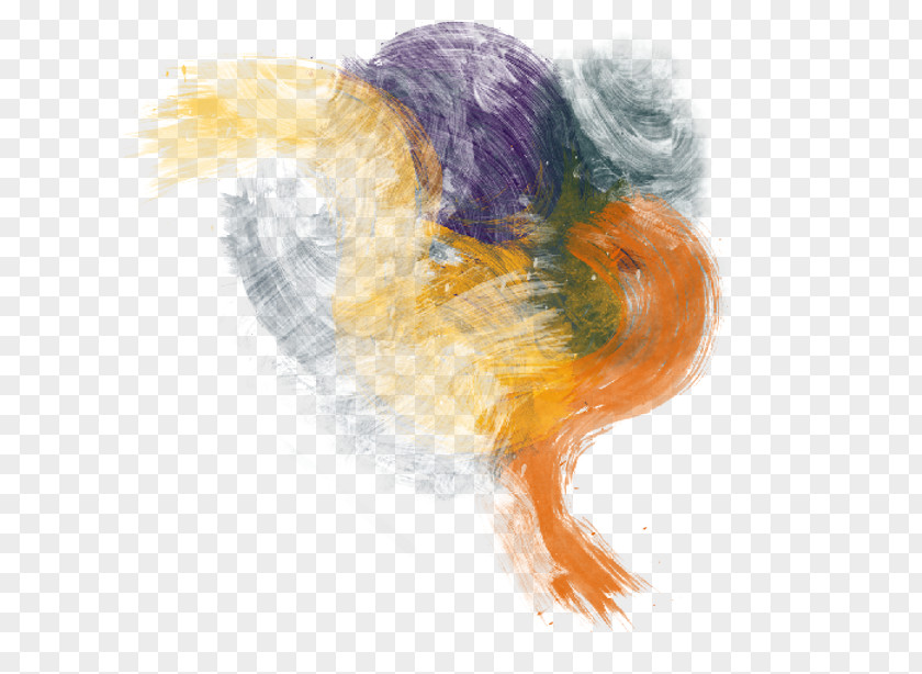 Painting Feather PNG