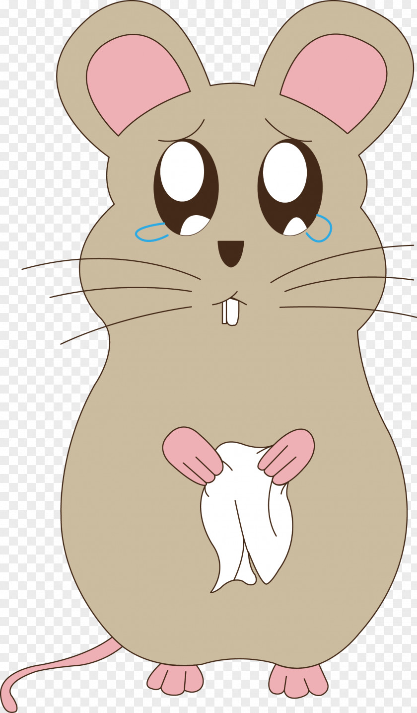 Rat Whiskers Sadness PNG