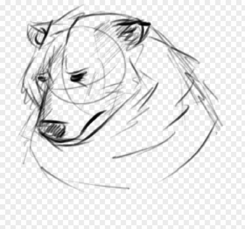 Bear Sketch Drawing Line Art Eye PNG