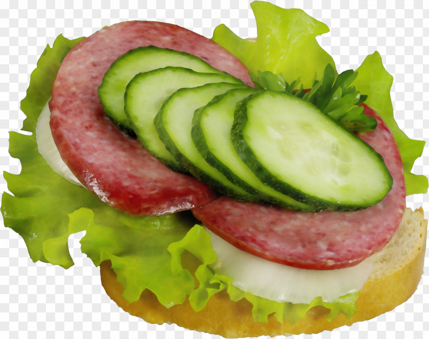 Bologna Sandwich American Food Pizza Background PNG