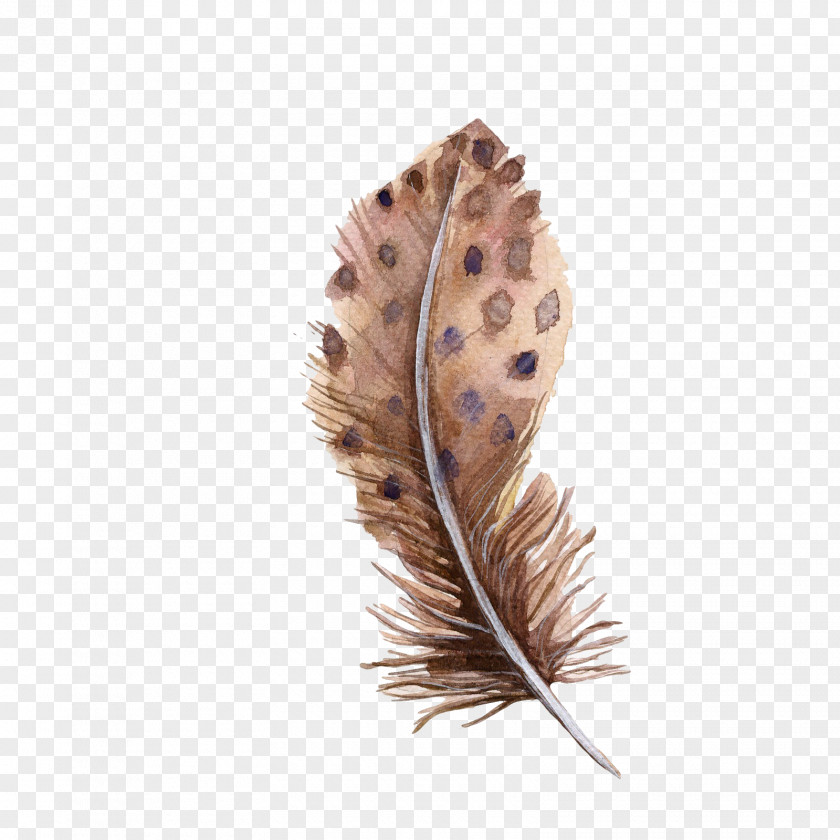 Brown Spotted Feathers Bird Feather Euclidean Vector PNG