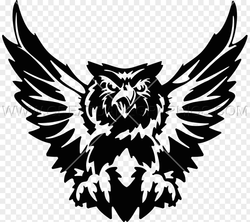 Inkjet Background Bird Of Prey Owl PNG