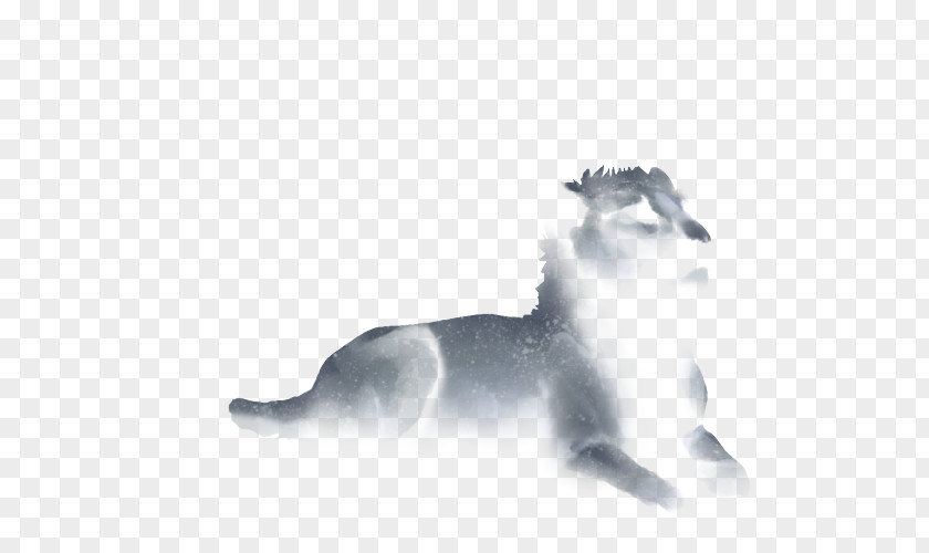 Mid-cover Cat Mammal Lion Carnivora Dog PNG