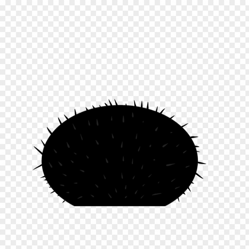 Fox Draw White Black M PNG