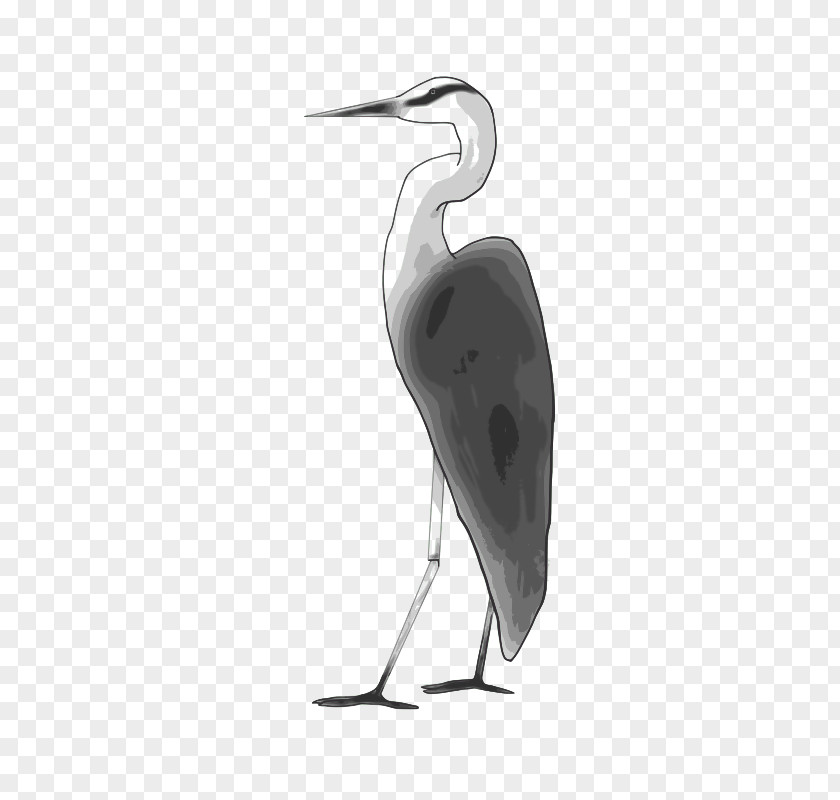 Herons Heron Crane Drawing Bird Vector Graphics PNG
