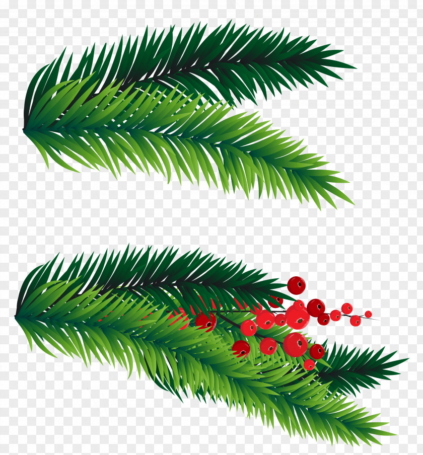 Pine Cone Christmas Tree Branch Clip Art PNG