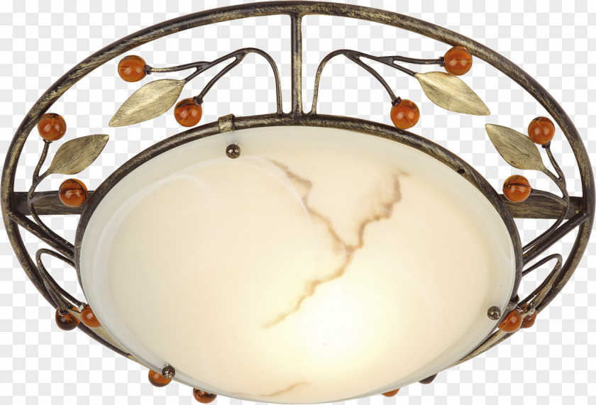 Ceiling Light Fixture Edison Screw Lighting PNG