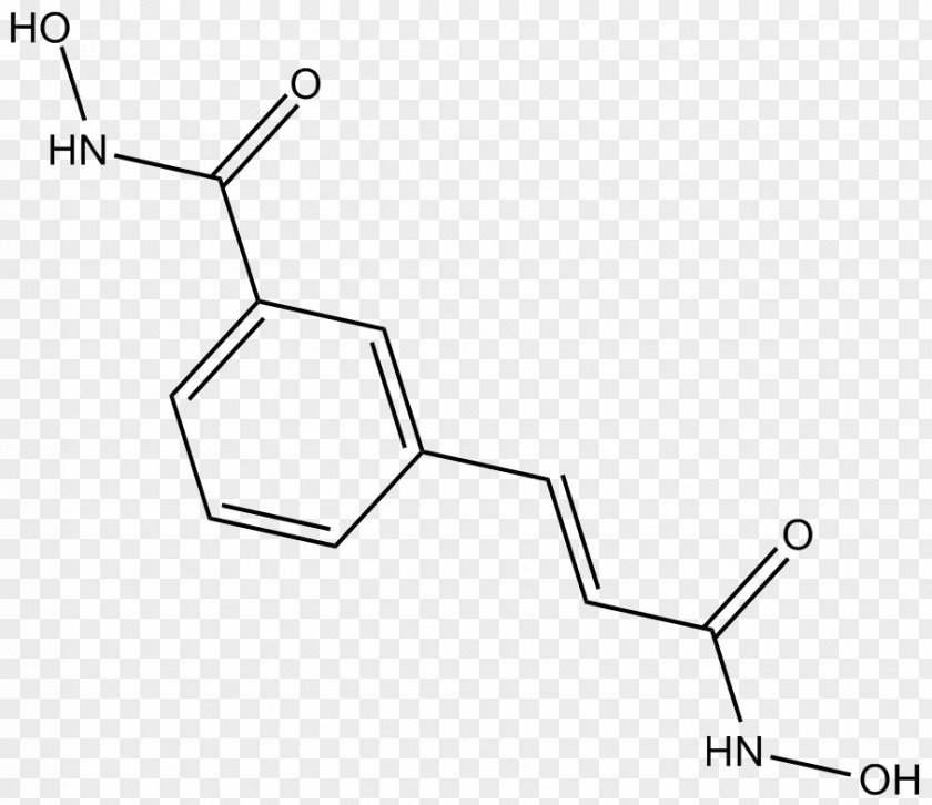 Damage Maintenance Histone Deacetylase Inhibitor Enzyme DNA Repair PNG