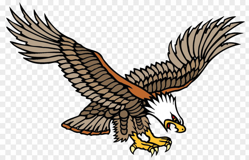 Flying The Sea Carving Computer Painting Pictures Old School (tattoo) Bald Eagle Tattoo Artist PNG