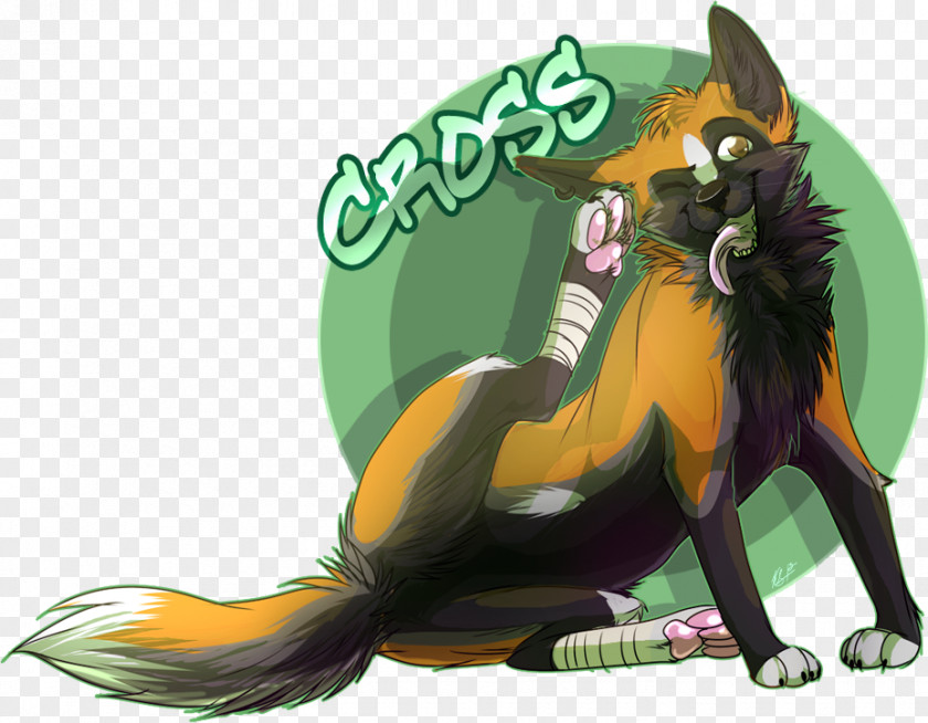 Fox Cat Dog Fur Canidae PNG