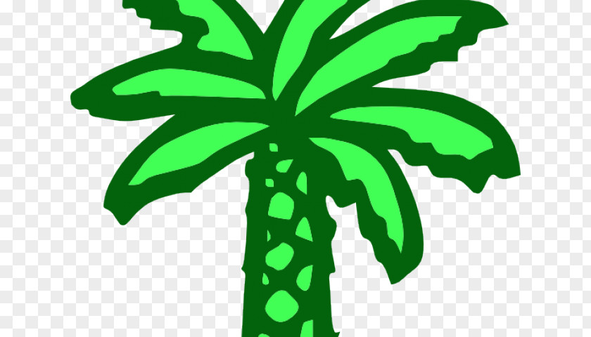 Klon Kelapa Sawit Clip Art Palm Trees Vector Graphics Cartoon PNG