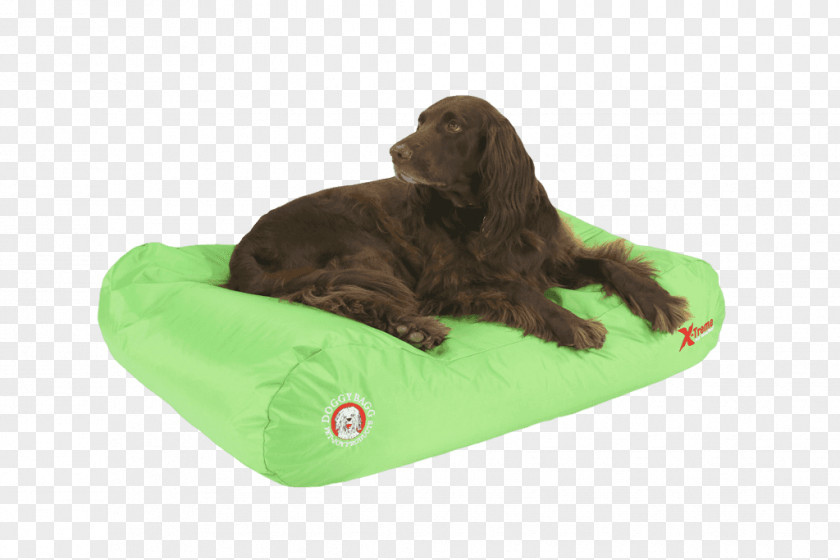 Puppy Boykin Spaniel Dog Breed Flat-Coated Retriever PNG