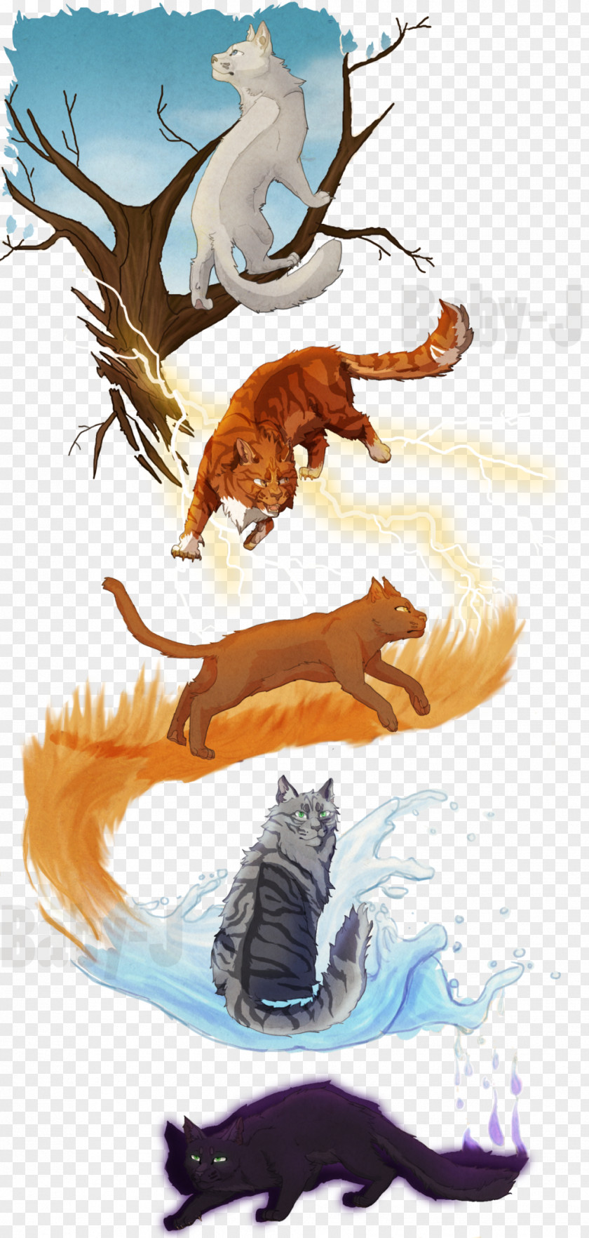 The Characteristic Two Lover Shadow With Sunlite Warriors Cat Erin Hunter Kitten Shadowstar PNG
