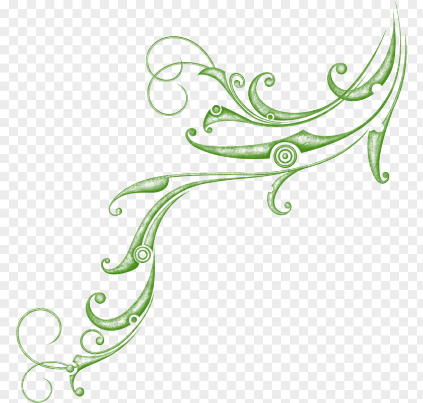 Clip Art Illustration Product Leaf Plant Stem PNG