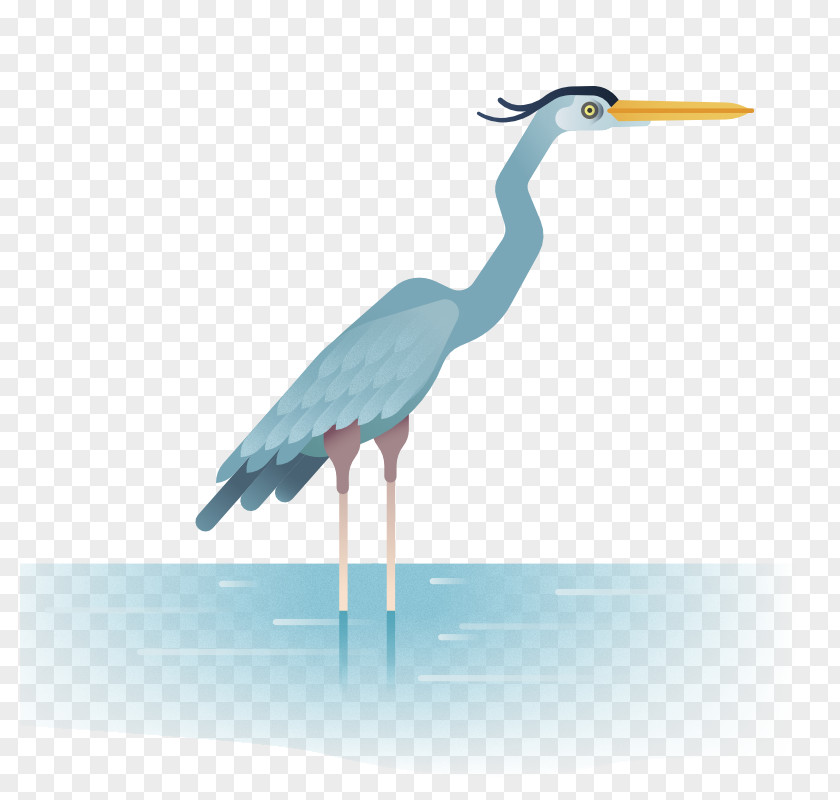 Crane Heron Bird Wader PNG