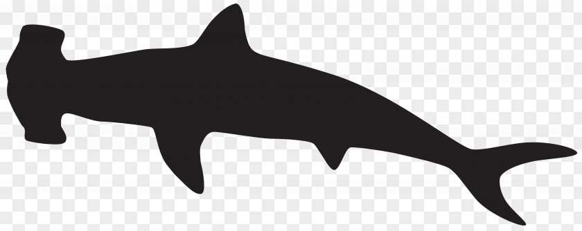 Sharks Hammerhead Shark Silhouette Scalloped Clip Art PNG