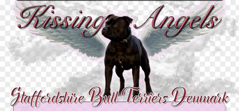 Staffordshire Bull Terrier Dog Breed Boxer American PNG