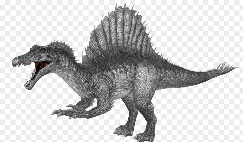Ark Shell Tyrannosaurus Spinosaurus ARK: Survival Evolved Giganotosaurus Velociraptor PNG