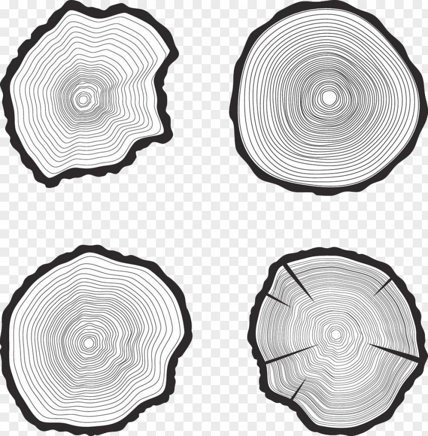 Black And White Tree Rings Trunk Aastarxf5ngad Royalty-free PNG