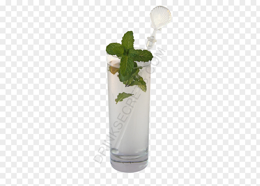 Mojito Mint Julep Cocktail Garnish Non-alcoholic Drink PNG