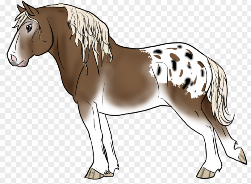 Mottled Mule Foal Stallion Mare Colt PNG