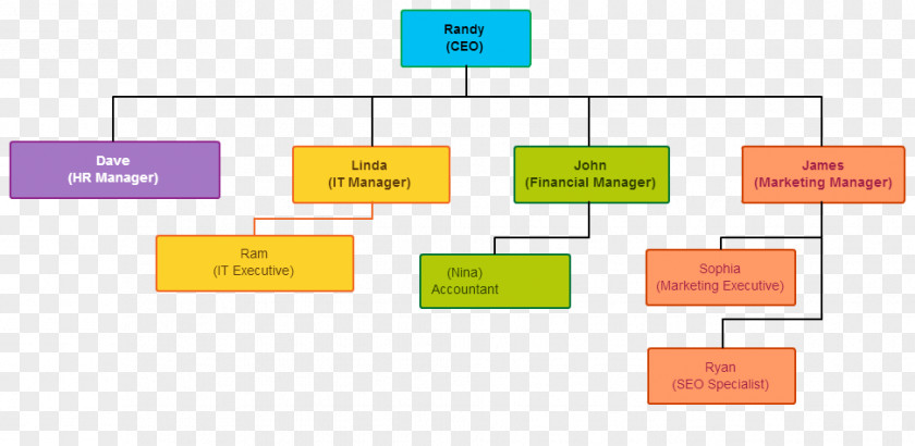 Schematic Diagram Brand Organization PNG