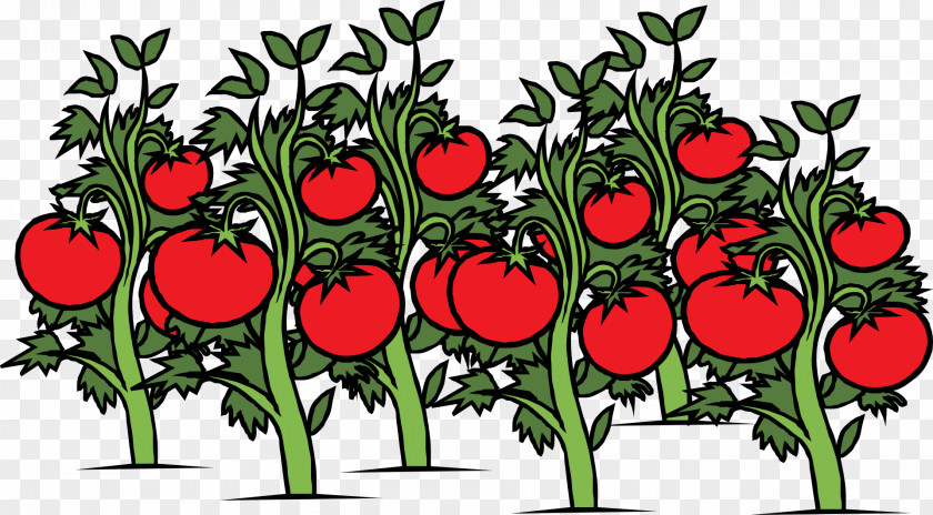 Bright Red Tomato Garden Vegetable Cherry Clip Art PNG