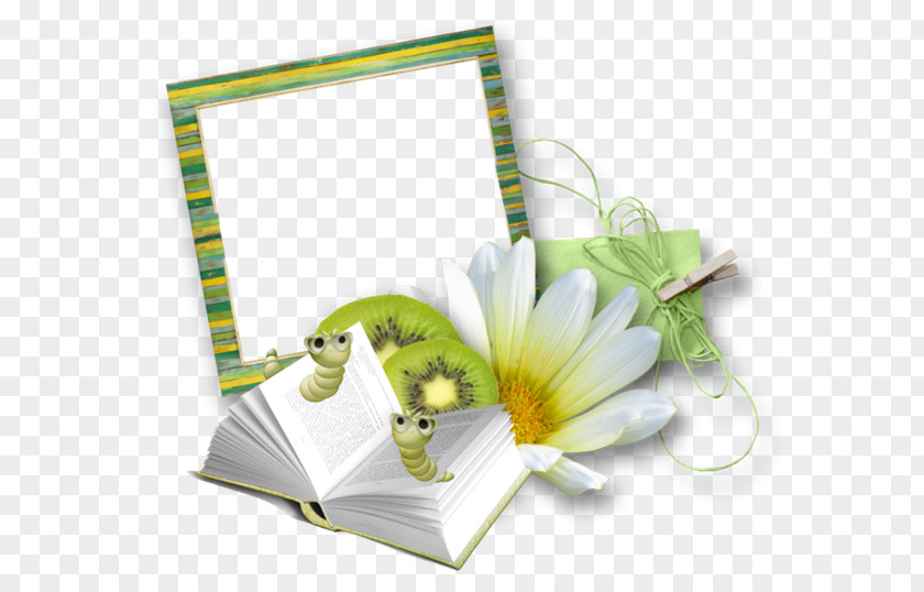 Collage Photomontage Clip Art Picture Frames Image Book PNG