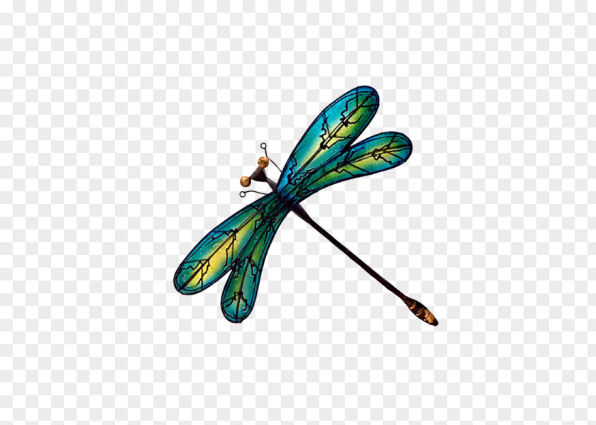Insect Dragonfly Turquoise PNG