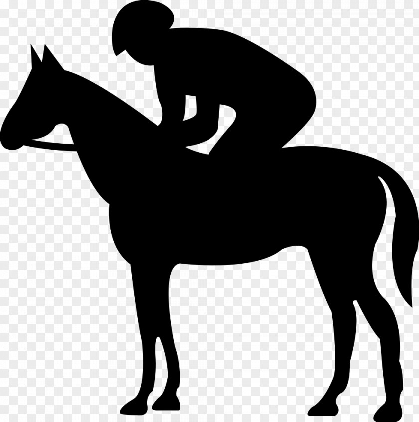 Jockey Austrian Warmblood Trakehner American Quarter Horse Jinete PNG