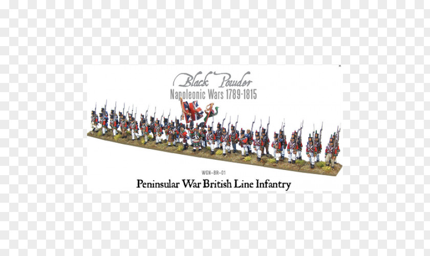Line Infantry Peninsular War Napoleonic Wars Regiment PNG