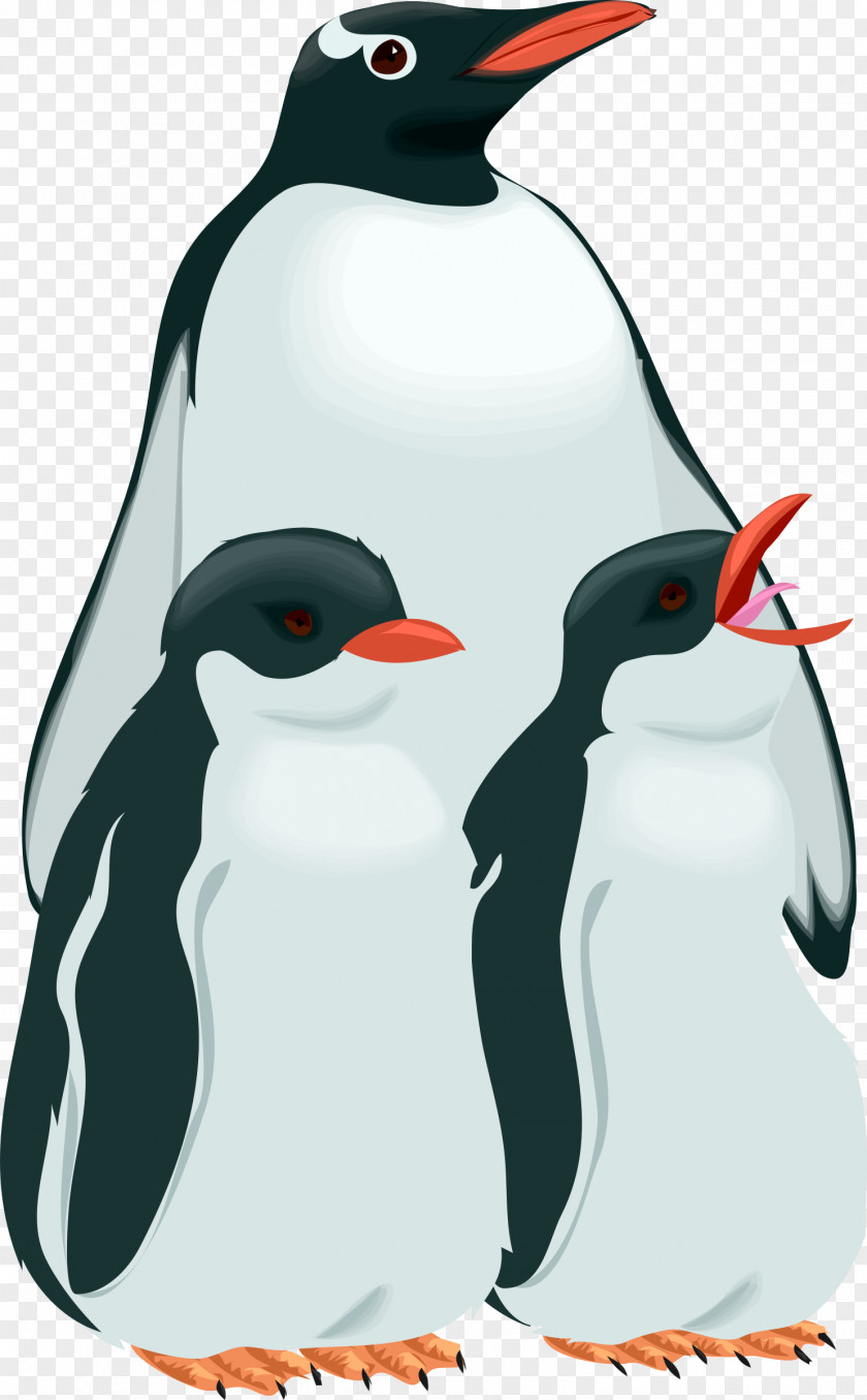 Penguins Penguin Bird Clip Art PNG