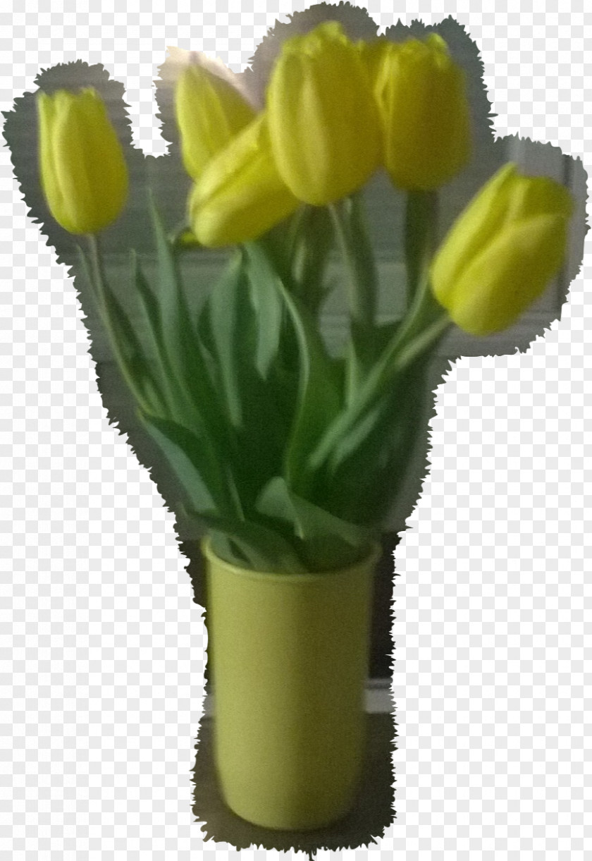Tulip Cut Flowers Flowerpot Plant Stem PNG