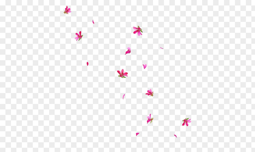 Falling Petals Flower Paper Drawing PNG