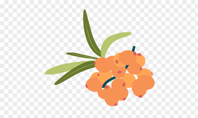 Iris Logo Floral Leaf PNG