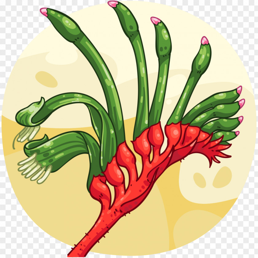 Kangaroo Paw Plant Tabasco Pepper Bird's Eye Chili Cayenne Red And Green PNG