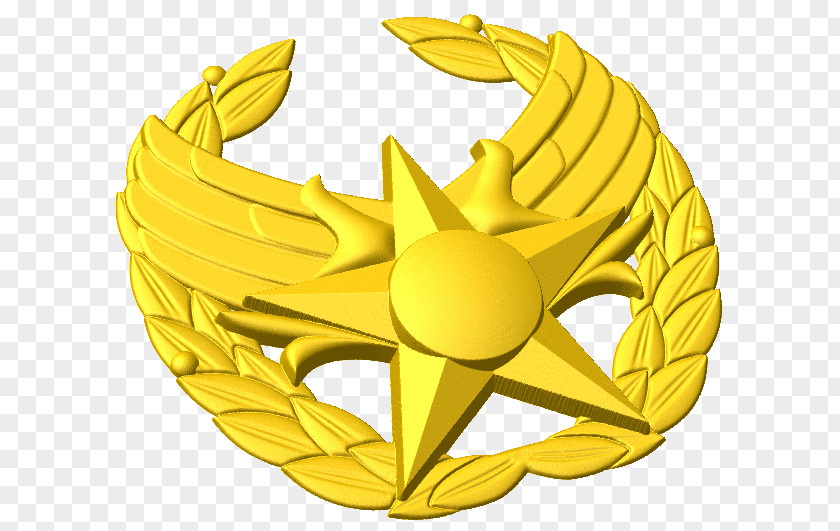 Badge Air Battle Manager Emblem United States Force Academy PNG