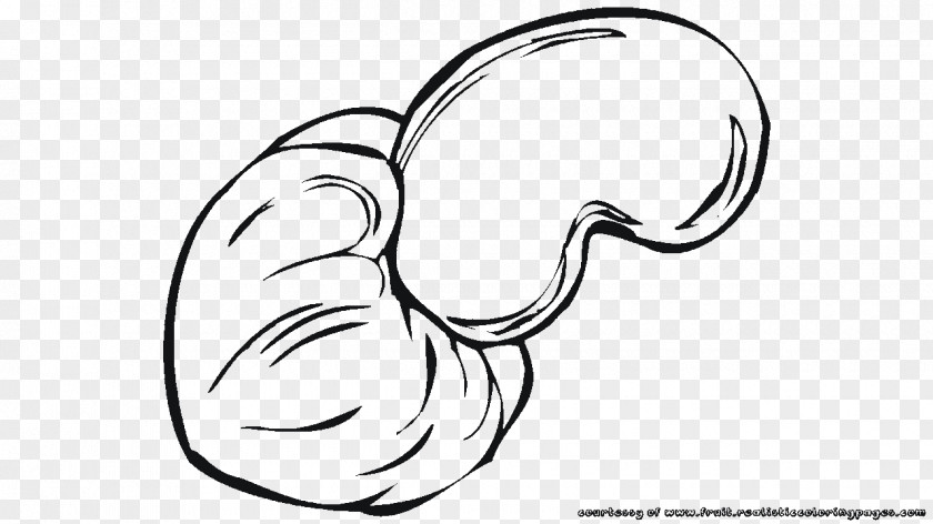 CASHEW Cashew Drawing Black And White Coloring Book Clip Art PNG