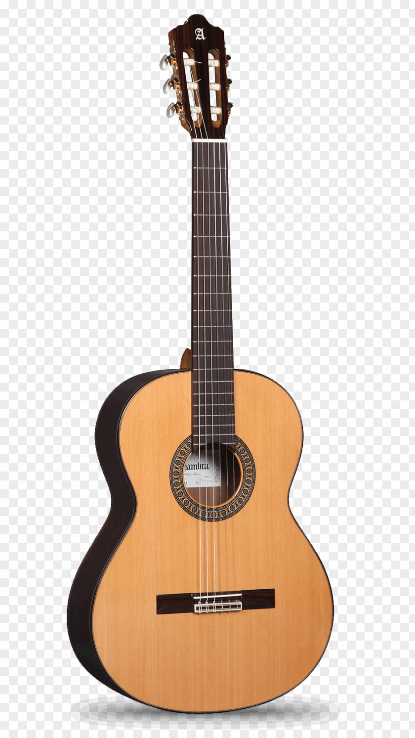 Guitar Alhambra Classical Flamenco Cutaway PNG